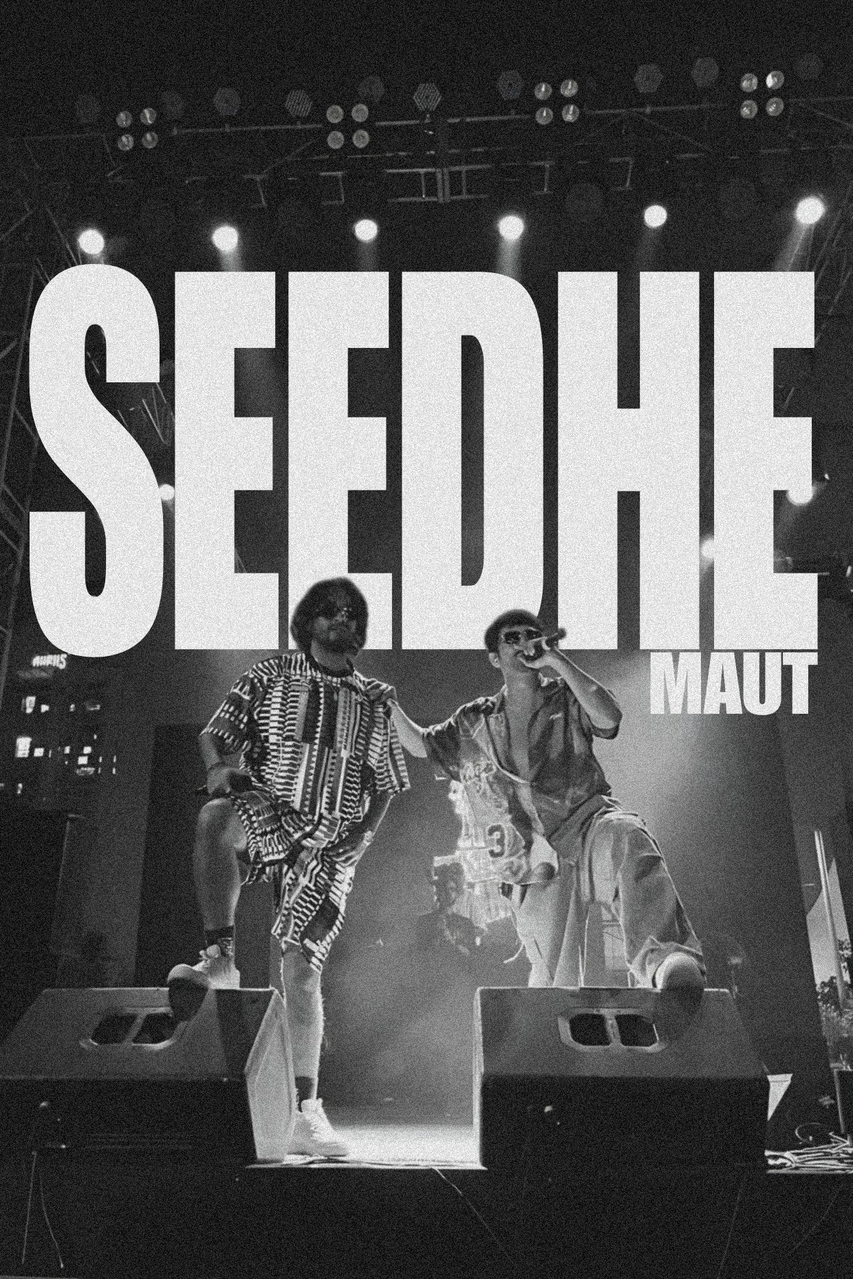 Desi Hip Hop