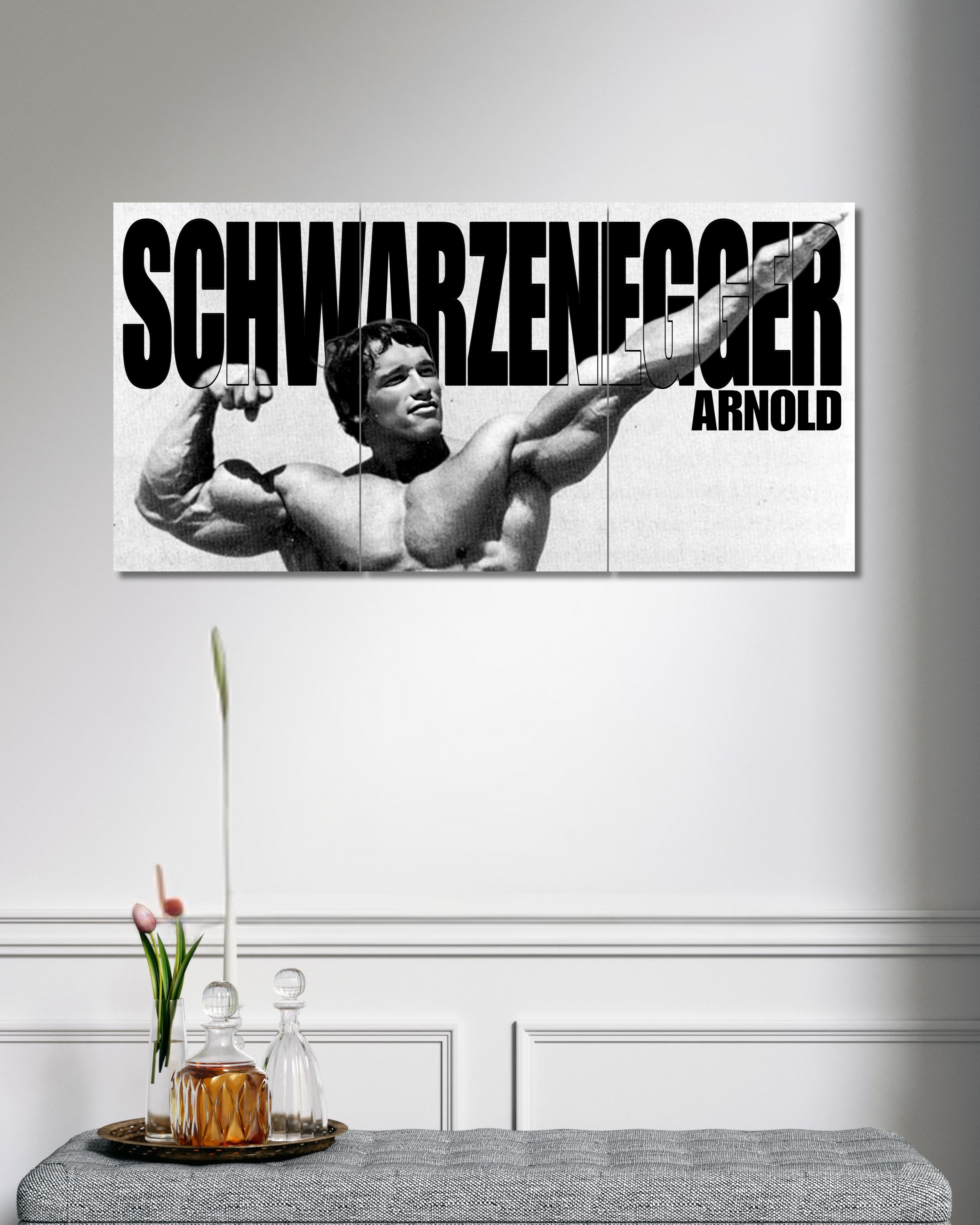 Arnold Schwarzenegger | Split Poster | 3 Piece Set | Motivation