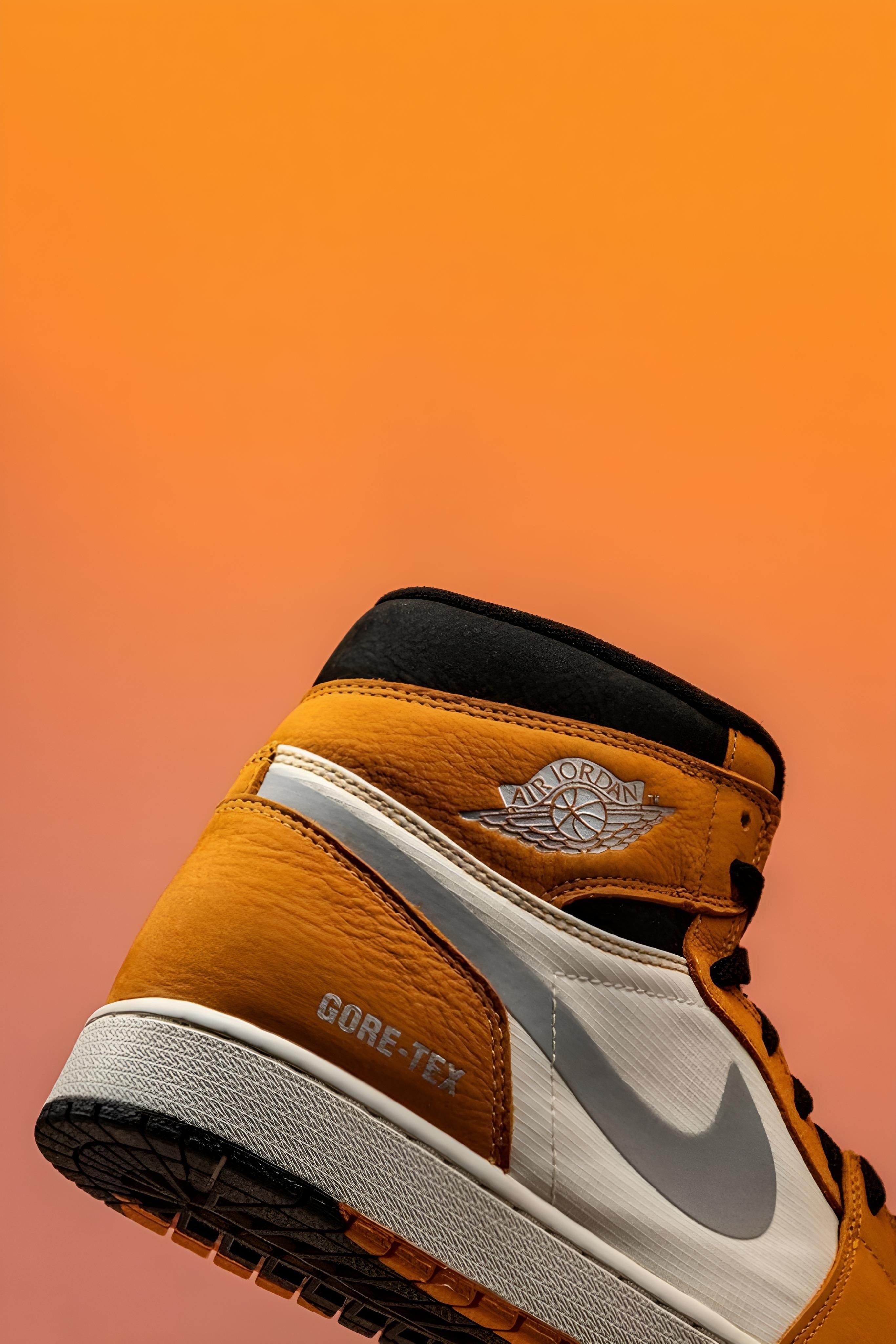 Air Jordan 1 High Gore-TEX | Nike | Shoes