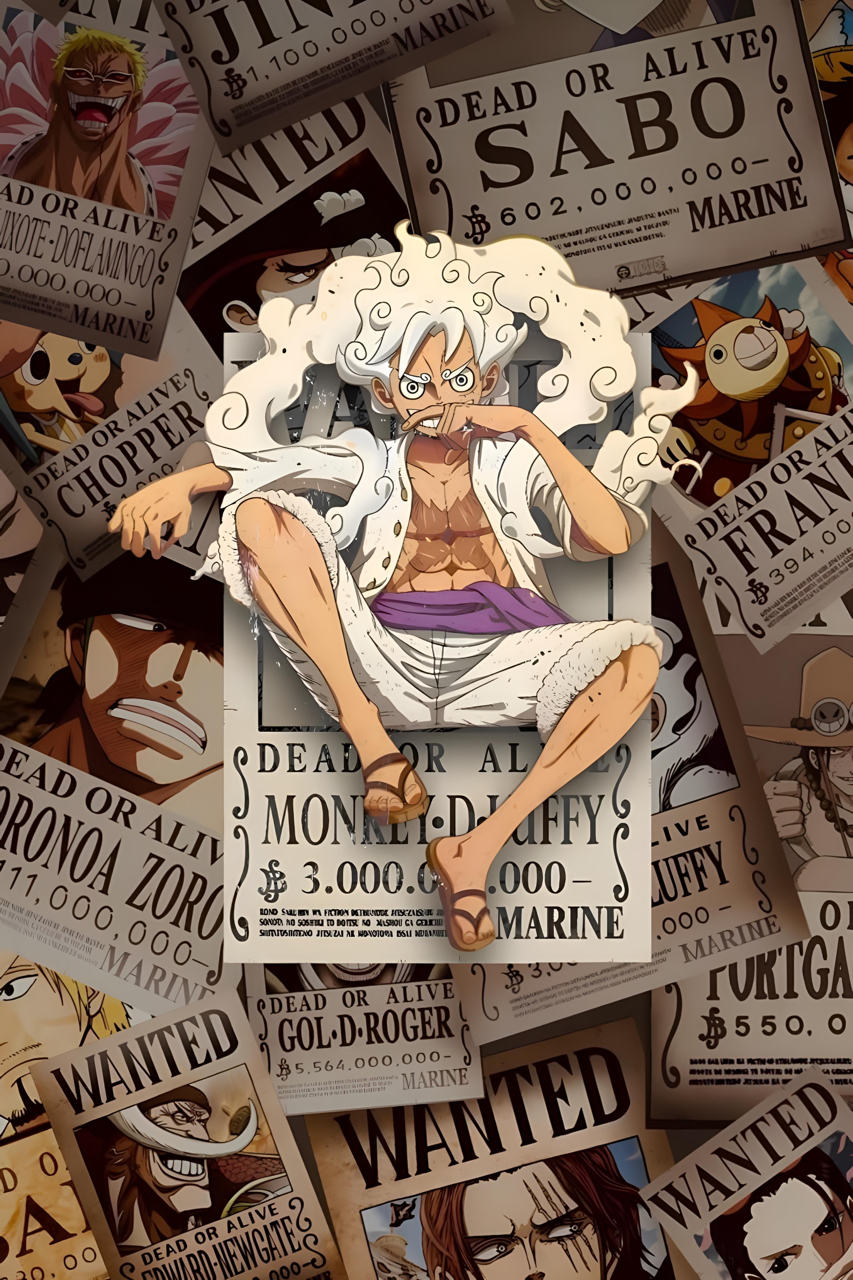Monkey-D-Luffy 02 | One Piece | Anime