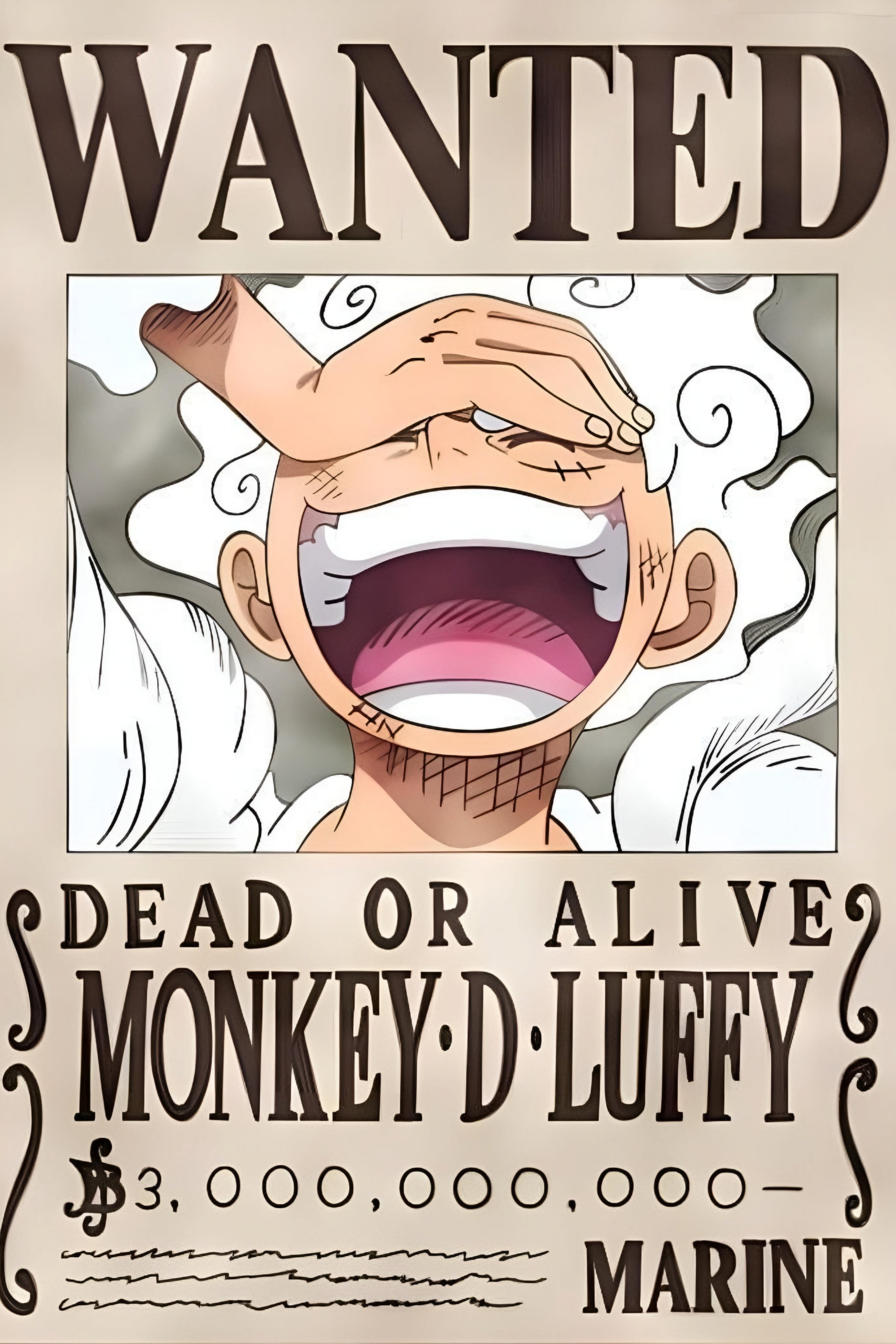 Monkey-D-Luffy 06 | One Piece | Anime