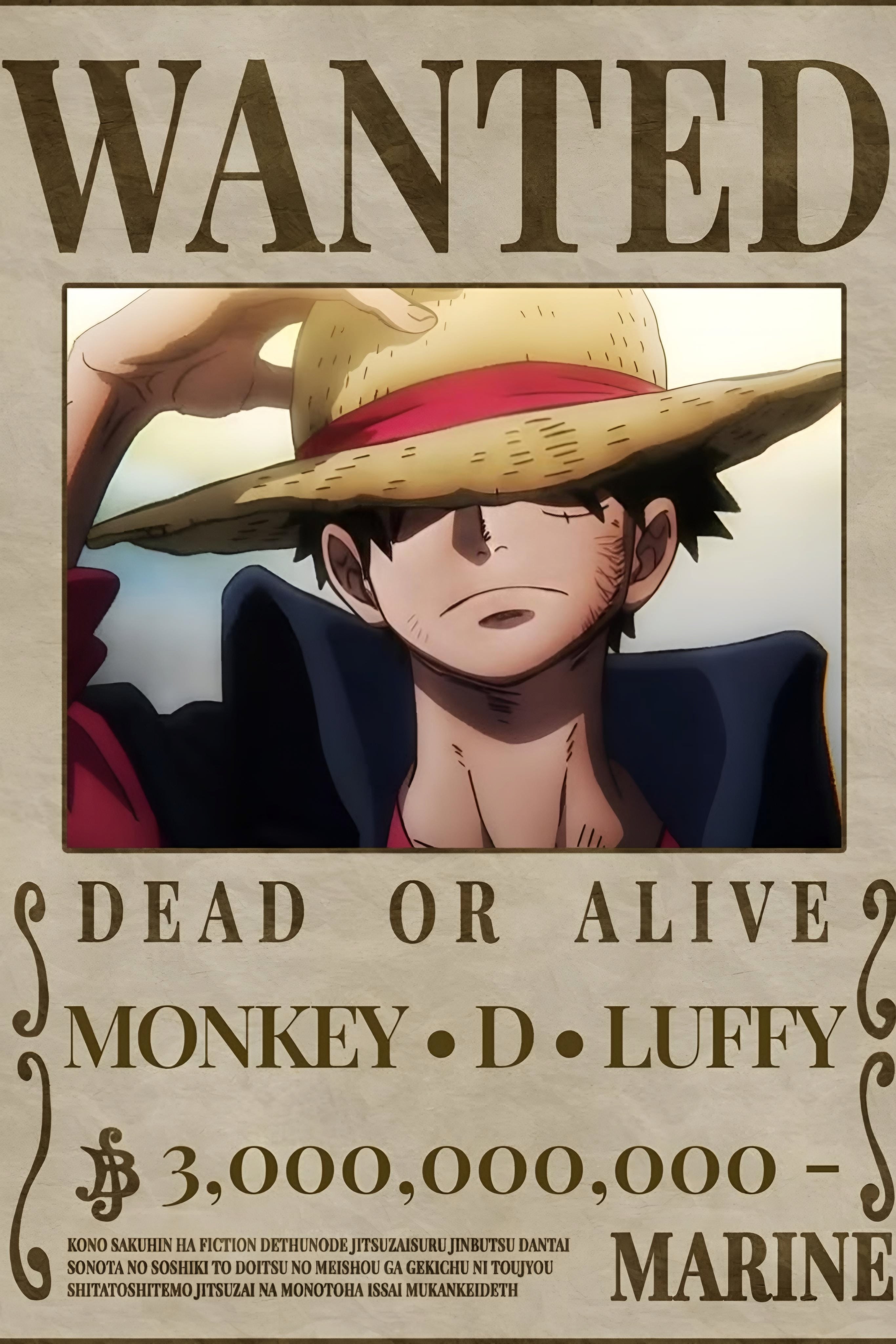 Monkey-D-Luffy 05 | One Piece | Anime